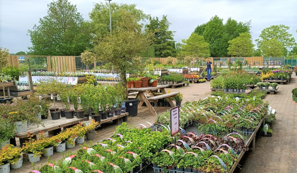 Tuinplanten kopen | Huis & Tuin Hoogeveen
