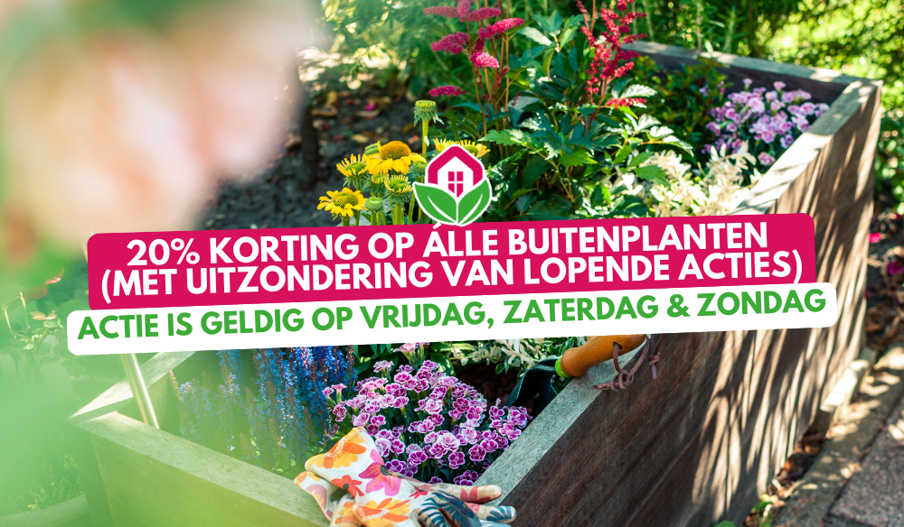 Tuinmeubels | Huis & Tuin Hoogeveen Tuinmeubels | Huis & Tuin Hoogeveen
