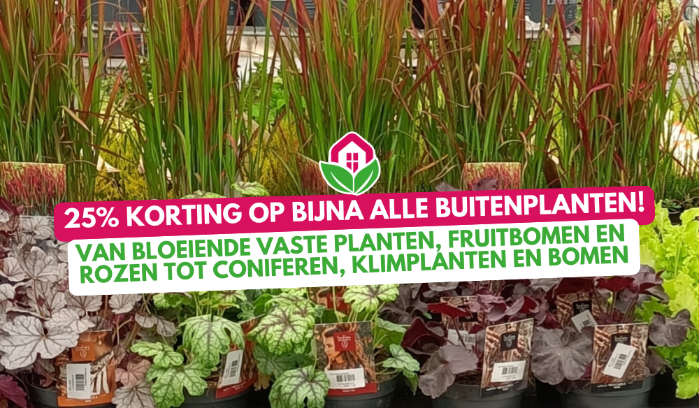 Aanbieding | Huis & Tuin Hoogeveen