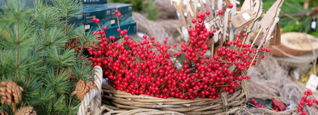 DIY Christmas | Tuincentrum Huis & Tuin Hoogeveen