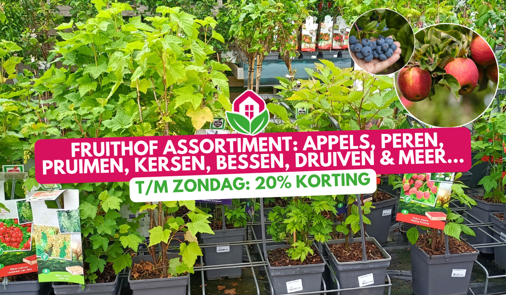 Aanbieding | Huis & Tuin Hoogeveen Aanbieding | Huis & Tuin Hoogeveen