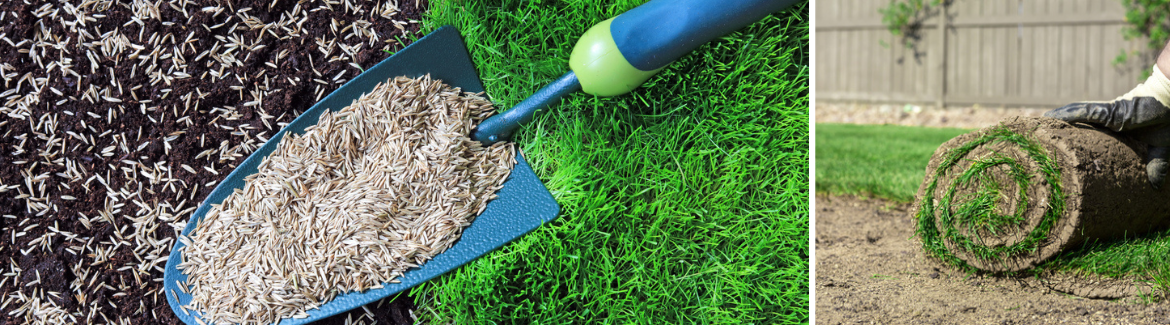 Gazon aanleggen? Je doet het met hulp van Huis & Tuin Hoogeveen!