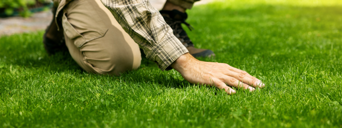 Laat je gazon groeien met hulp van Huis & Tuin Hoogeveen!