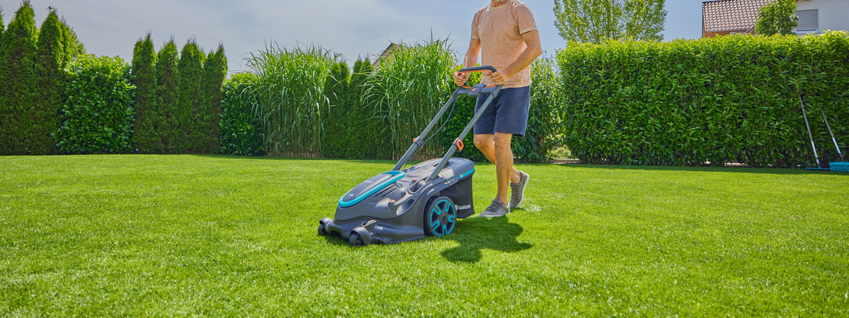 Zo houd je je gazon in topconditie | Huis & Tuin Hoogeveen