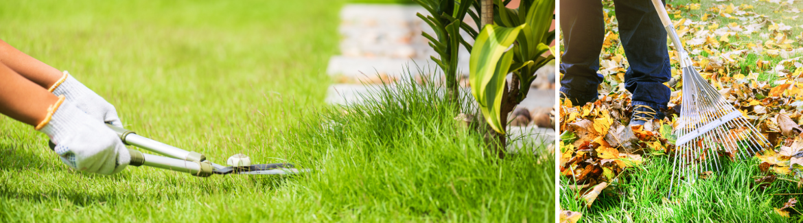 Gazon onderhouden? Je doet het met hulp van Huis & Tuin Hoogeveen!