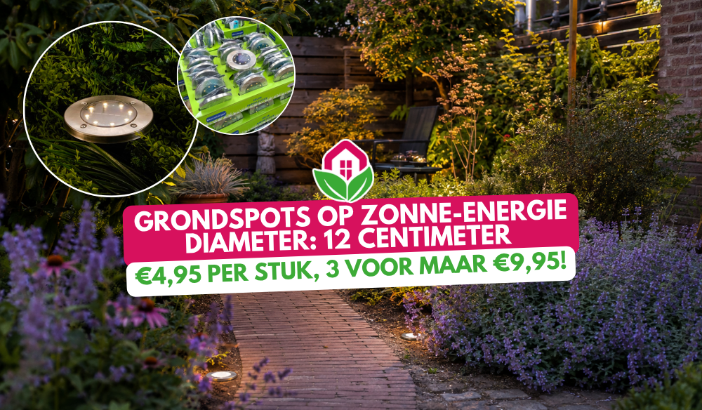Solar spots | Huis & Tuin Hoogeveen