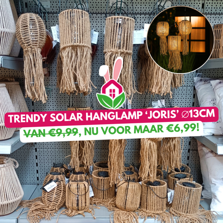 Aanbieding | Huis & Tuin Hoogeveen