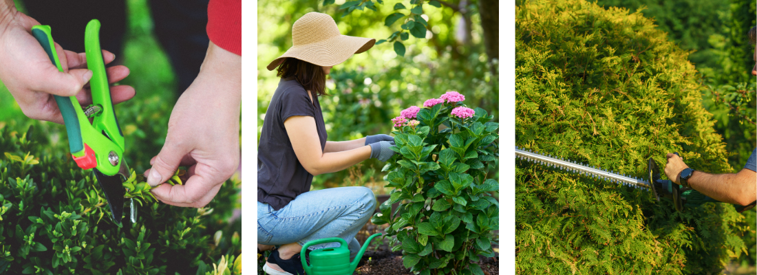 Heesters | Huis & Tuin Hoogeveen