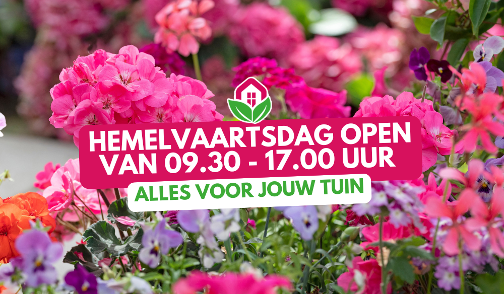 10 mei Moederdag | Huis & Tuin Hoogeveen 10 mei Moederdag | Huis & Tuin Hoogeveen