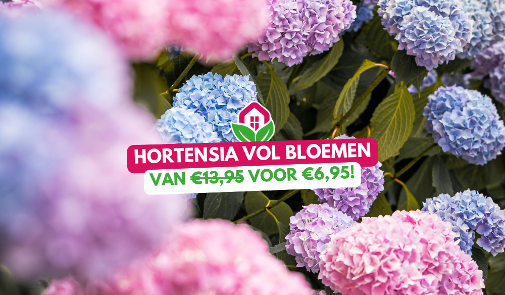 Tuinmeubels | Huis & Tuin Hoogeveen