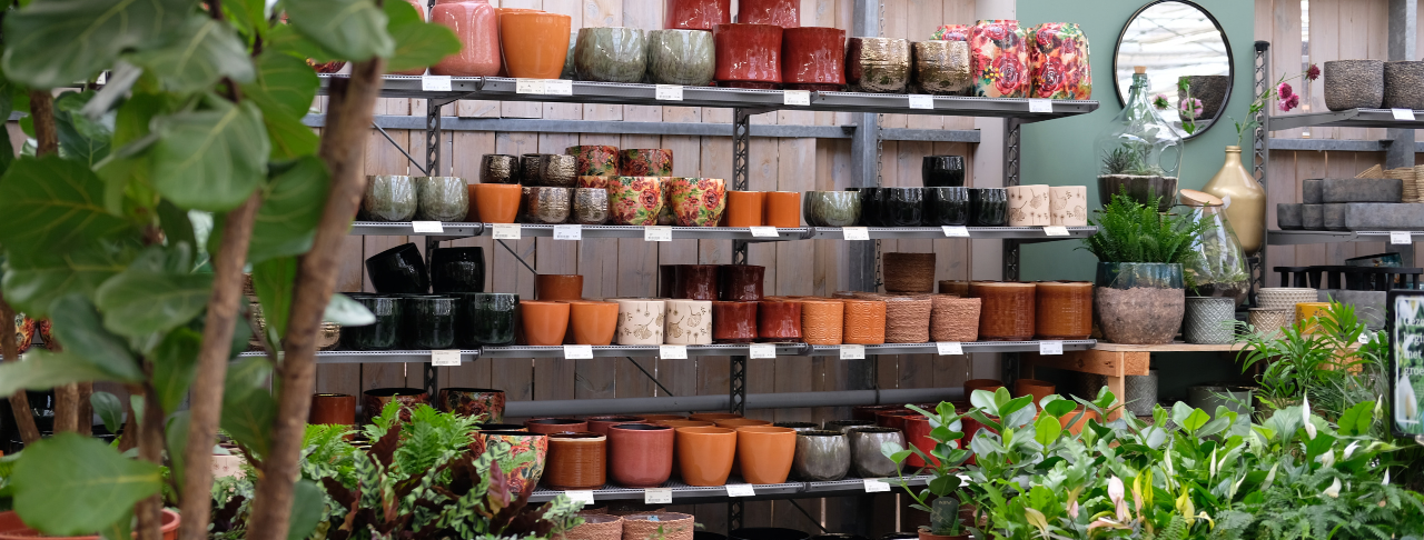 Deze trendy bloempotten verdienen een plek in jouw woning! | Huis & Tuin Hoogeveen