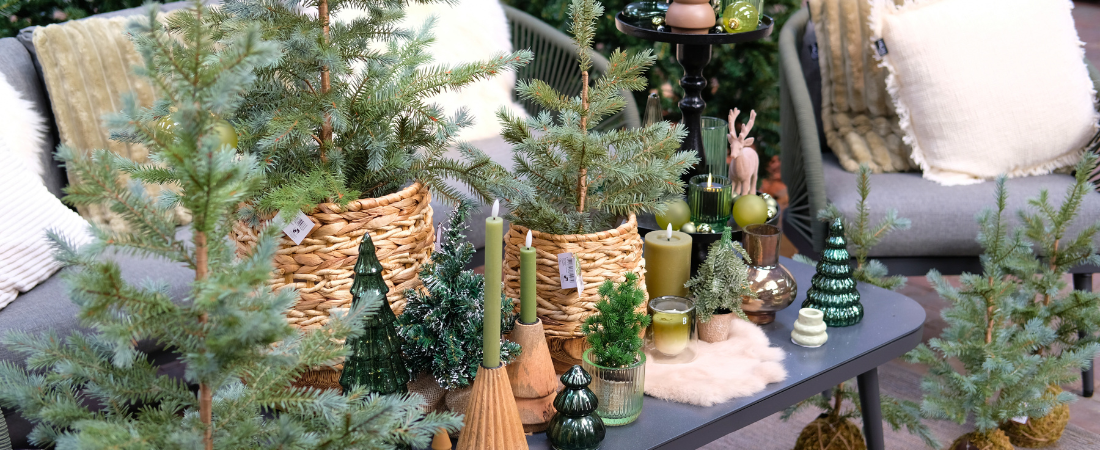 Bezoek de kerstshow van tuincentrum Huis & Tuin Hoogeveen! Bezoek de kerstshow van tuincentrum Huis & Tuin Hoogeveen!