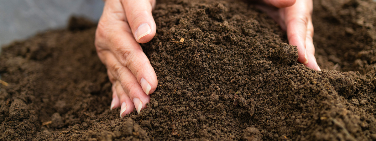 Tuinaarde kopen bij tuincentrum Huis & Tuin Hoogeveen!