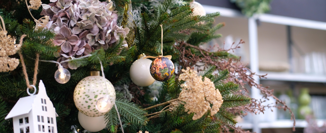 Ervaar de kerstmagie van tuincentrum Huis & Tuin!