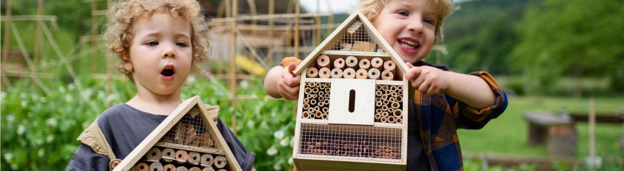 Insectenhotel kopen | Huis & Tuin Hoogeveen