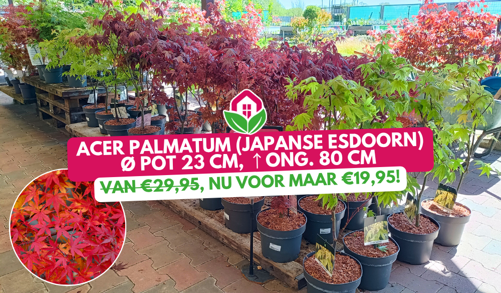 Aanbieding | Huis & Tuin Hoogeveen