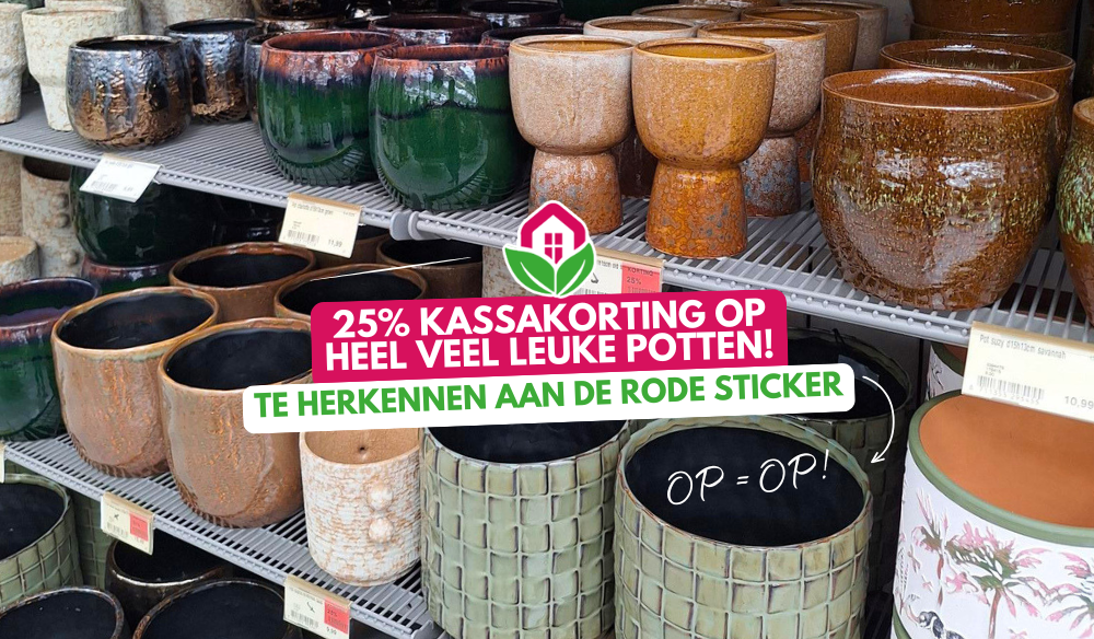 Potterie | Huis & Tuin Hoogeveen