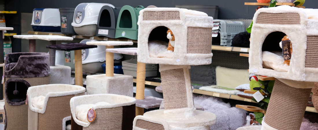 Alles voor je kat vind je bij tuincentrum Huis & Tuin Hoogeveen!