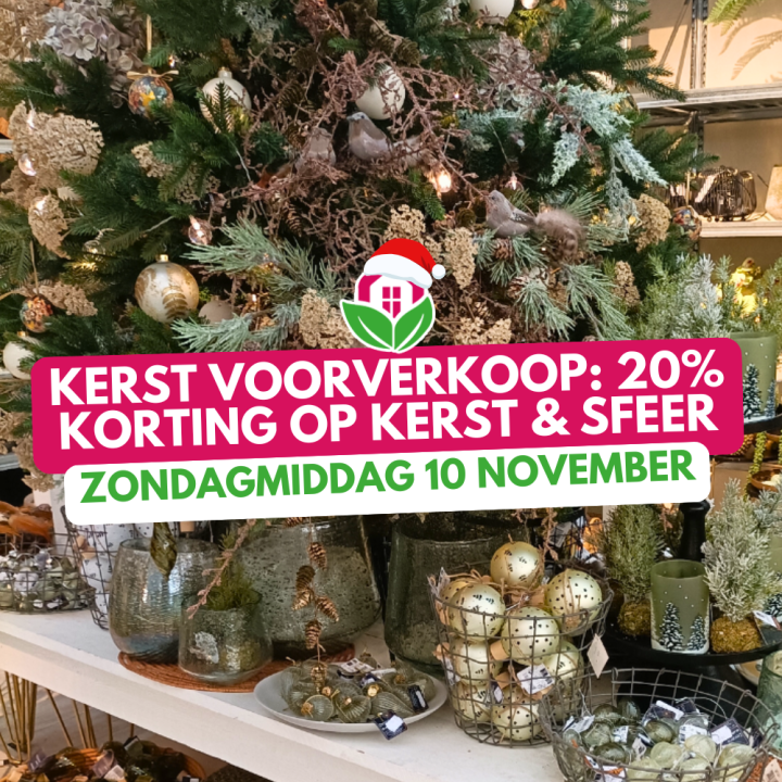 Voor kerstartikelen ben je bij Huis & Tuin Hoogeveen aan het juiste adres!