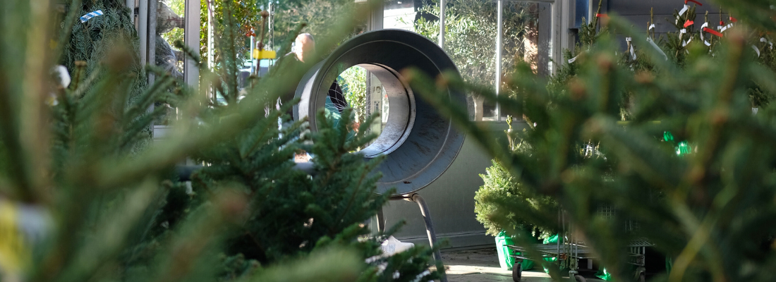 Kerstboom kopen | Huis & Tuin Hoogeveen