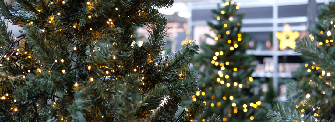 Kerstverlichting op batterij kopen | Huis & Tuin Hoogeveen