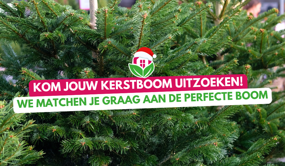Aanbieding | Huis & Tuin Hoogeveen