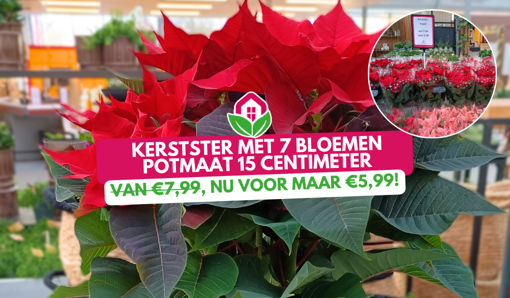 Aanbieding | Huis & Tuin Hoogeveen Aanbieding | Huis & Tuin Hoogeveen