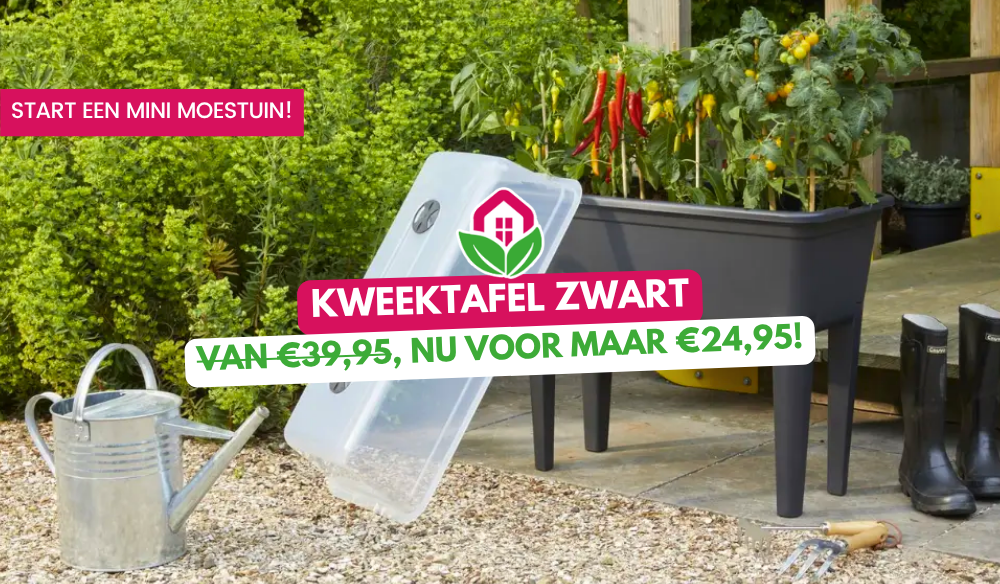 Tuinplanten | Huis & Tuin Hoogeveen Tuinplanten | Huis & Tuin Hoogeveen