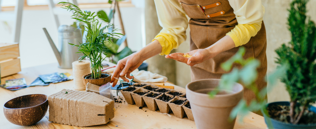 Een eigen moestuin beginnen of uitbreiden? Met de juiste kweekaccessoires maak je het jezelf een stuk makkelijker én leuker.
