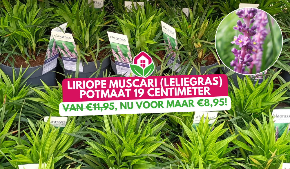 Aanbieding | Huis & Tuin Hoogeveen Aanbieding | Huis & Tuin Hoogeveen