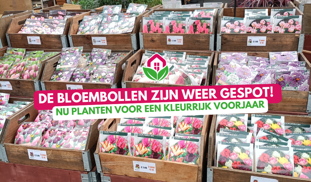 Aanbieding | Huis & Tuin Hoogeveen
