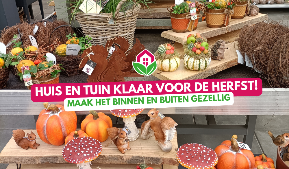 Aanbieding | Huis & Tuin Hoogeveen