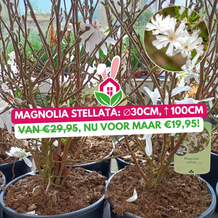 Aanbieding | Huis & Tuin Hoogeveen