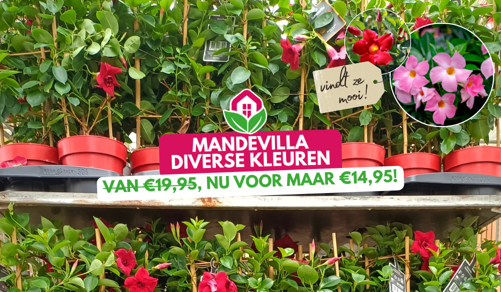 10 mei Moederdag | Huis & Tuin Hoogeveen