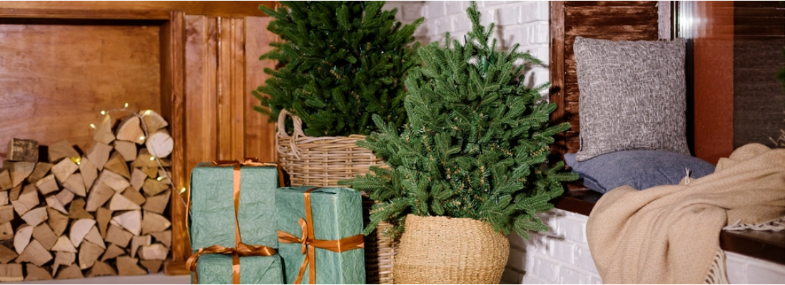 Kerstboom kopen | Huis & Tuin Hoogeveen