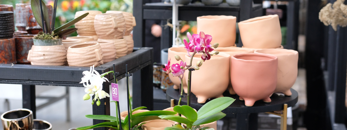 Shop jouw potjes bij tuincentrum Huis & Tuin Hoogeveen!