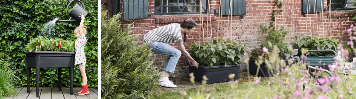 Koop jouw moestuinbenodigdheden bij Huis & Tuin Hoogeveen!