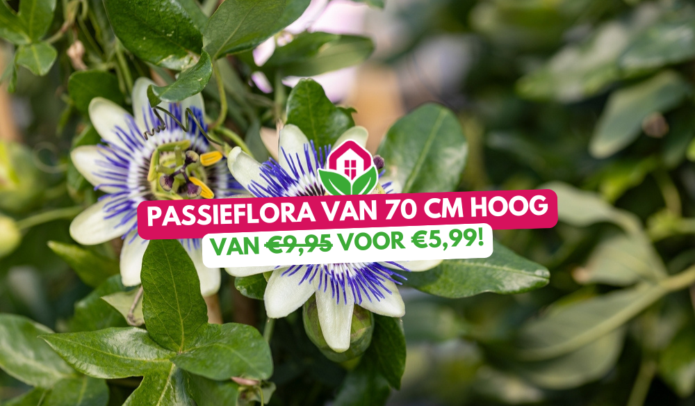 Tuinmeubels | Huis & Tuin Hoogeveen