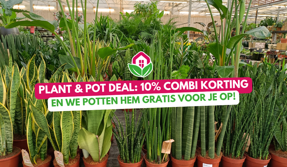 Aanbieding | Huis & Tuin Hoogeveen