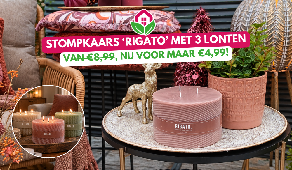 Rigato kaars | Huis & Tuin Hoogeveen