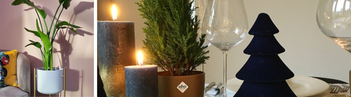 Sinterklaas cadeaus | Huis & Tuin Hoogeveen