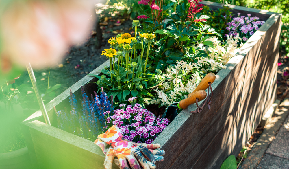 Lente | Huis & Tuin Hoogeveen