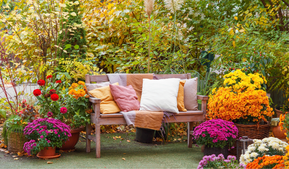 Tuinplanten | Huis & Tuin Hoogeveen Tuinplanten | Huis & Tuin Hoogeveen