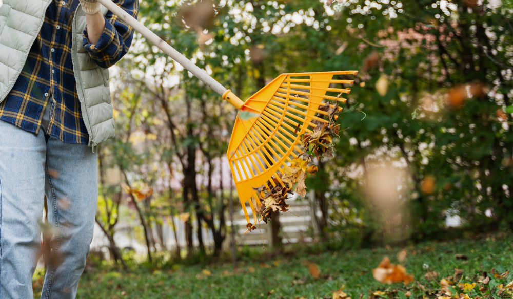 Tuingereedschap | Huis & Tuin Hoogeveen Tuingereedschap | Huis & Tuin Hoogeveen