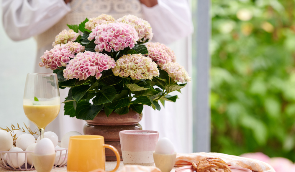 10 mei Moederdag | Huis & Tuin Hoogeveen