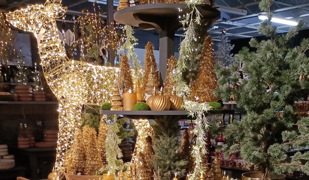 Kerst 2026 | Huis & Tuin Hoogeveen