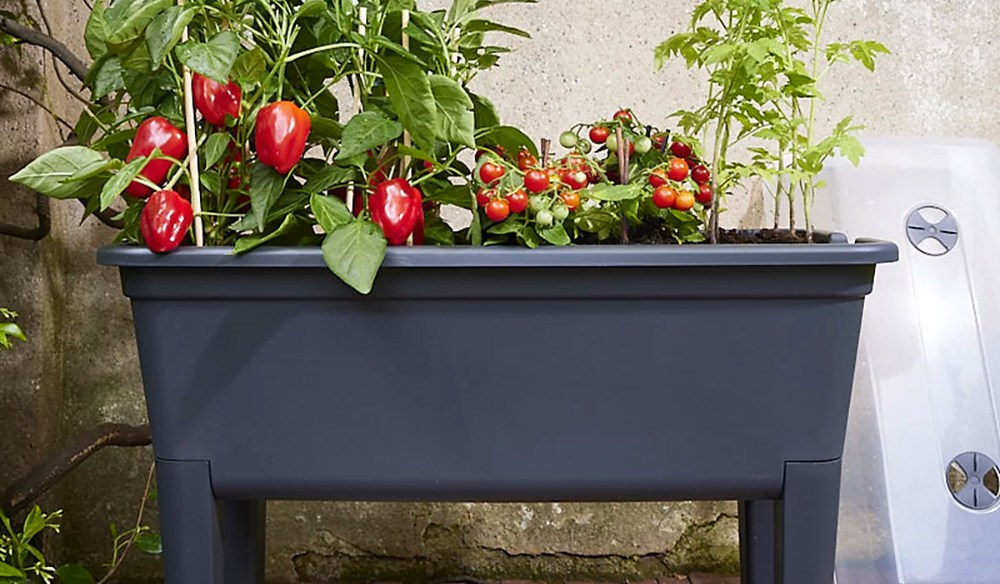 Moestuin | tuincentrum Huis & Tuin Hoogeveen