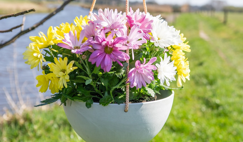Ter Steege | Huis & Tuin Hoogeveen