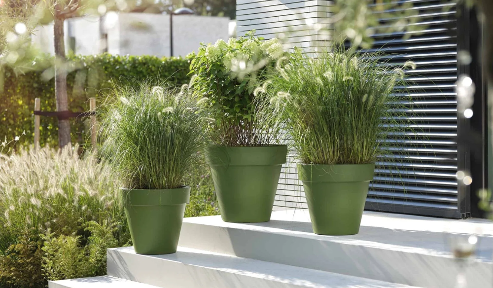 De mooiste bloempotten shop je bij Huis & Tuin Hoogeveen! De mooiste bloempotten shop je bij Huis & Tuin Hoogeveen!