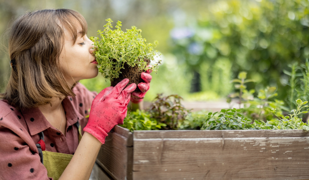 Moestuin | Huis & Tuin Hoogeveen
